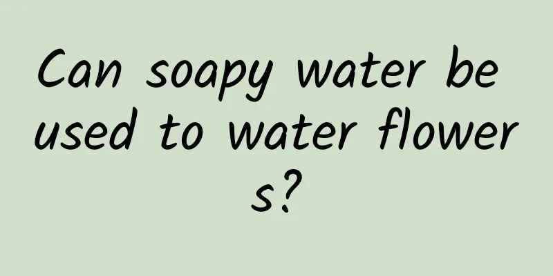 Can soapy water be used to water flowers?