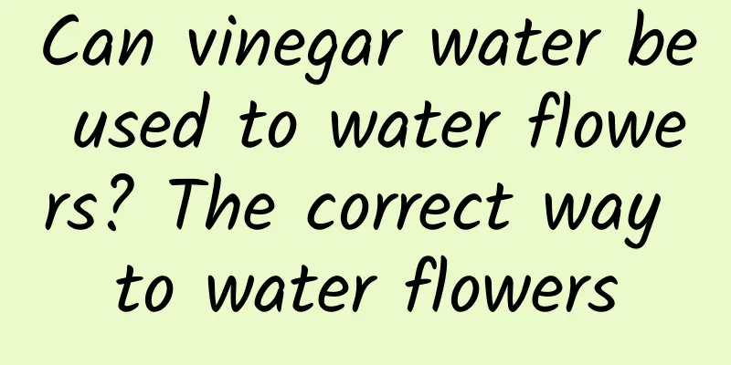 Can vinegar water be used to water flowers? The correct way to water flowers