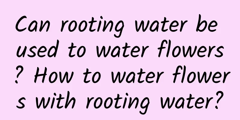 Can rooting water be used to water flowers? How to water flowers with rooting water?