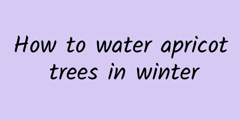 How to water apricot trees in winter