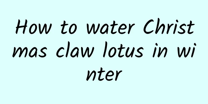 How to water Christmas claw lotus in winter