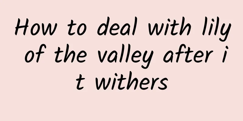 How to deal with lily of the valley after it withers