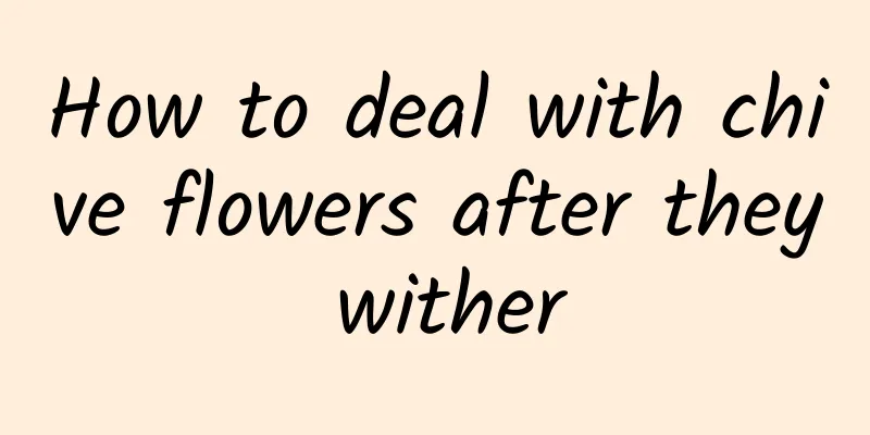 How to deal with chive flowers after they wither