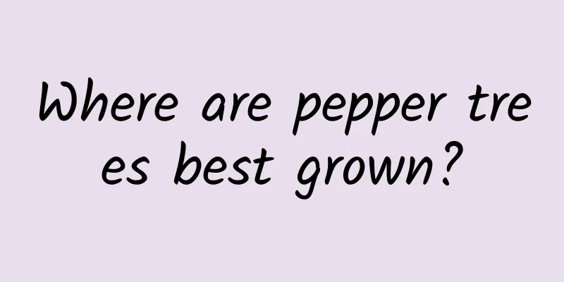 Where are pepper trees best grown?