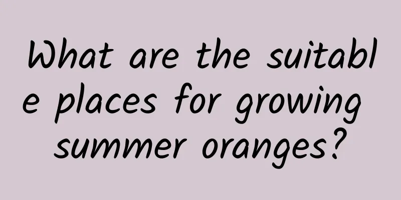 What are the suitable places for growing summer oranges?