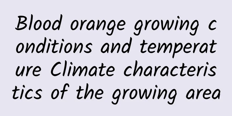 Blood orange growing conditions and temperature Climate characteristics of the growing area