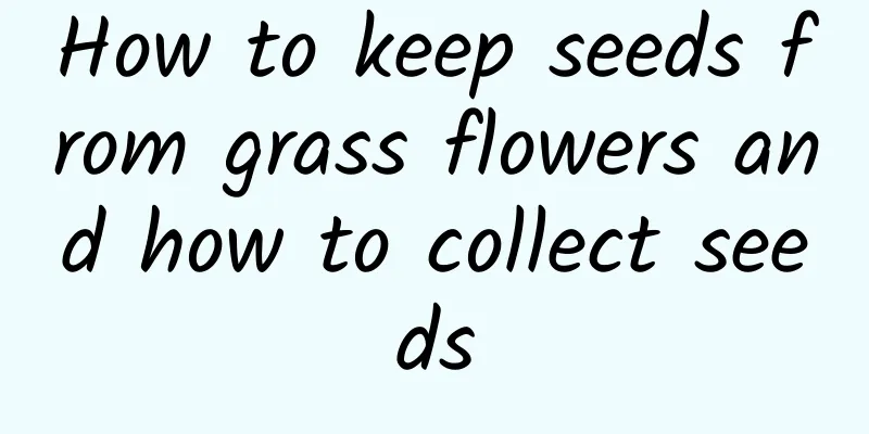 How to keep seeds from grass flowers and how to collect seeds