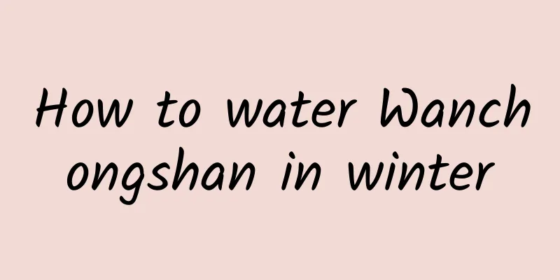 How to water Wanchongshan in winter