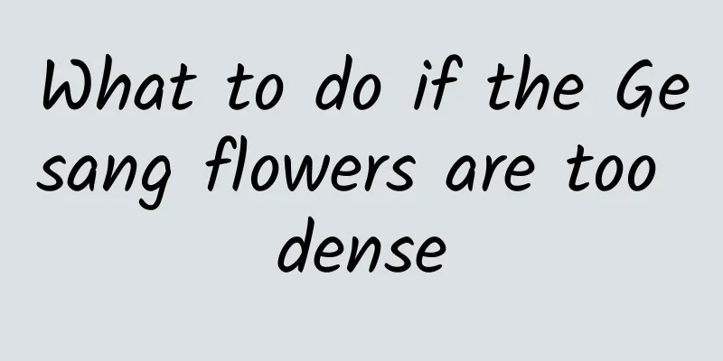 What to do if the Gesang flowers are too dense