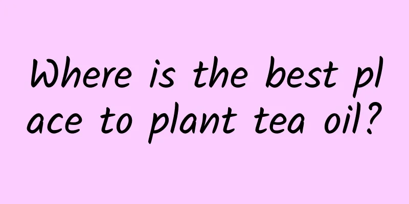 Where is the best place to plant tea oil?