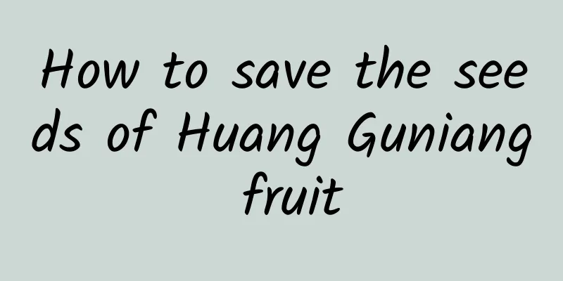 How to save the seeds of Huang Guniang fruit