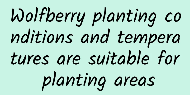 Wolfberry planting conditions and temperatures are suitable for planting areas