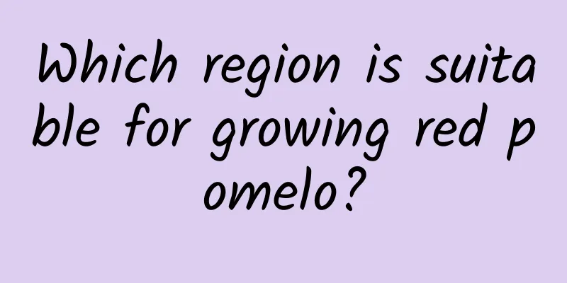Which region is suitable for growing red pomelo?