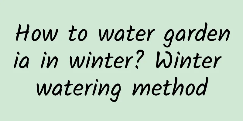How to water gardenia in winter? Winter watering method