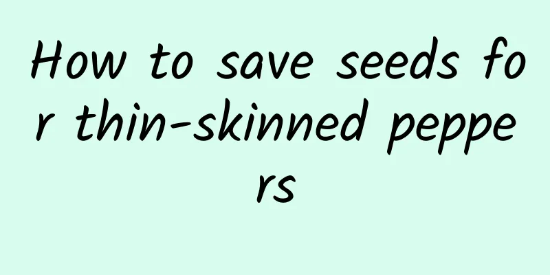 How to save seeds for thin-skinned peppers