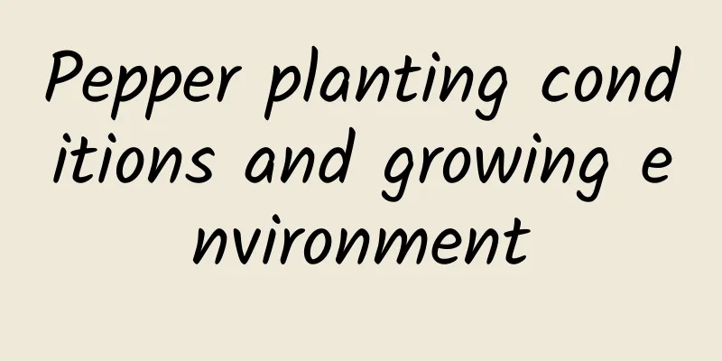 Pepper planting conditions and growing environment