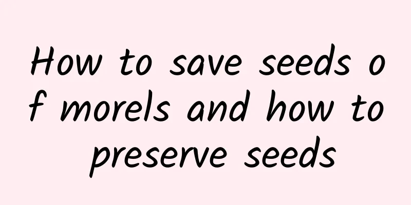 How to save seeds of morels and how to preserve seeds