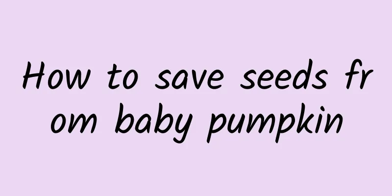 How to save seeds from baby pumpkin