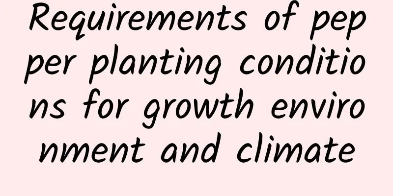 Requirements of pepper planting conditions for growth environment and climate