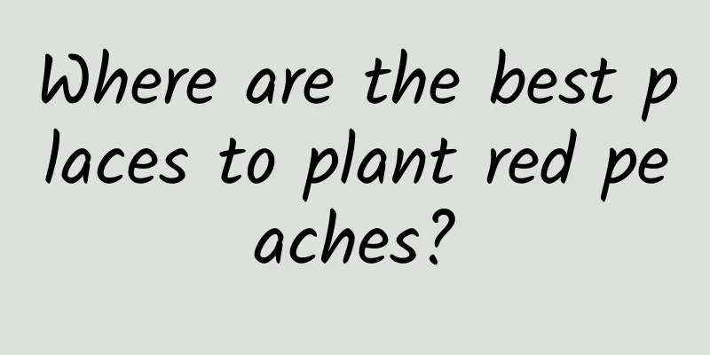 Where are the best places to plant red peaches?