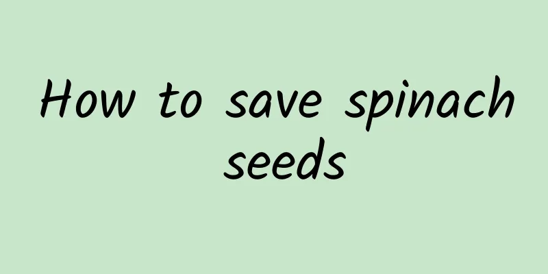 How to save spinach seeds
