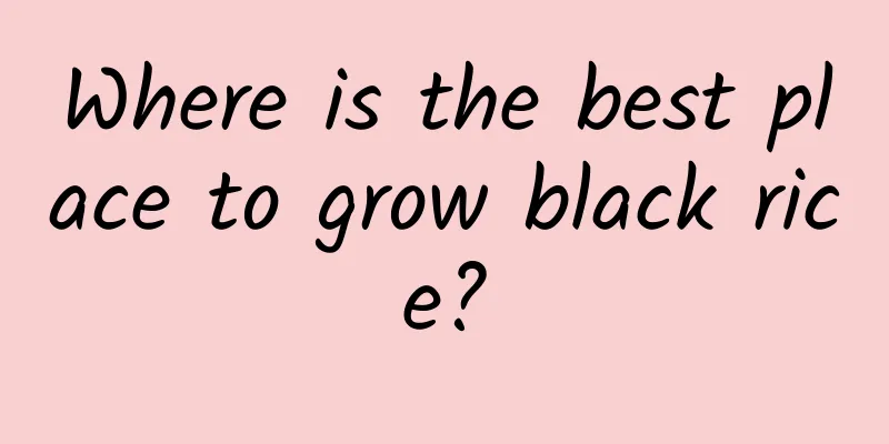 Where is the best place to grow black rice?