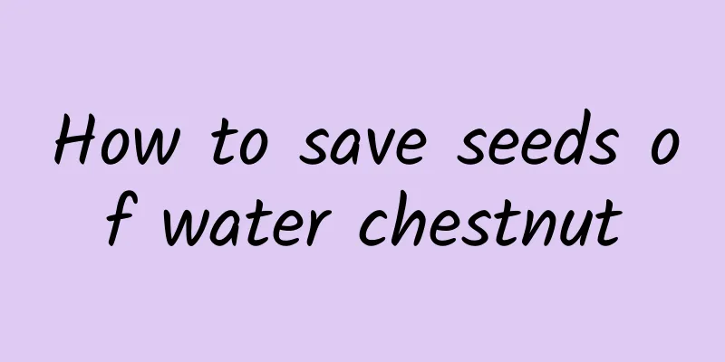 How to save seeds of water chestnut