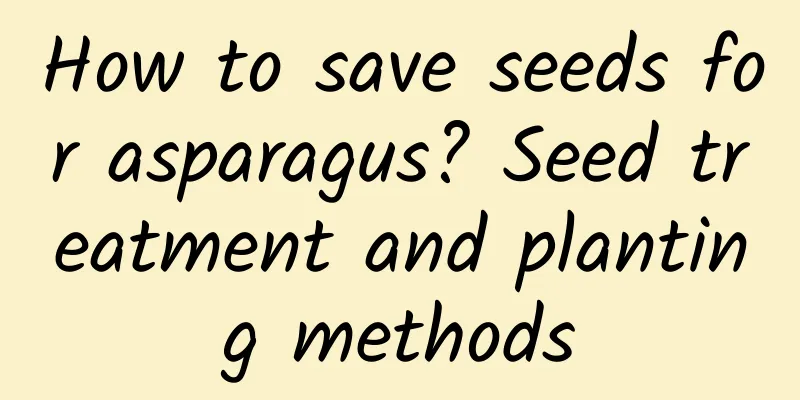 How to save seeds for asparagus? Seed treatment and planting methods