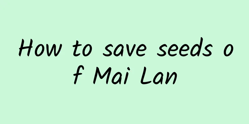 How to save seeds of Mai Lan