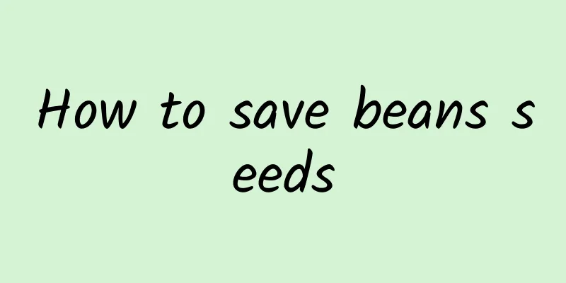 How to save beans seeds