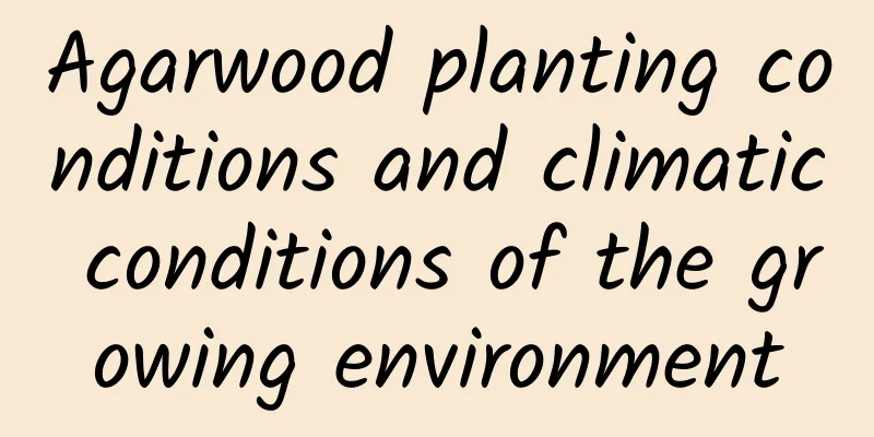 Agarwood planting conditions and climatic conditions of the growing environment