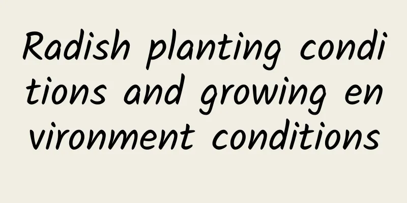 Radish planting conditions and growing environment conditions