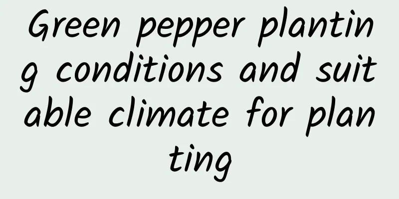 Green pepper planting conditions and suitable climate for planting