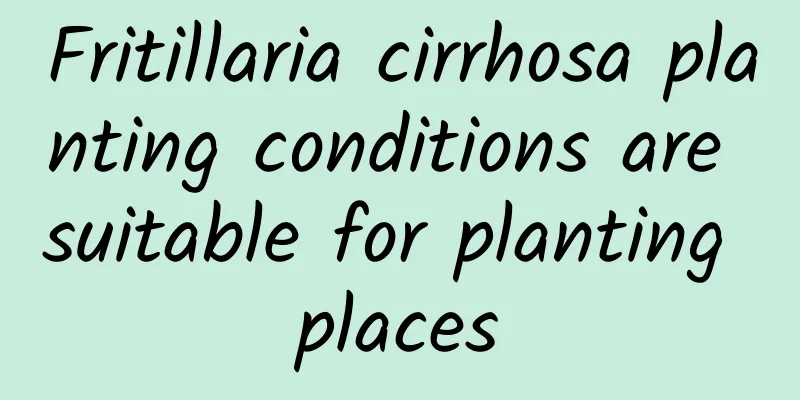 Fritillaria cirrhosa planting conditions are suitable for planting places