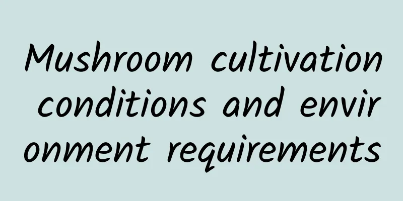 Mushroom cultivation conditions and environment requirements