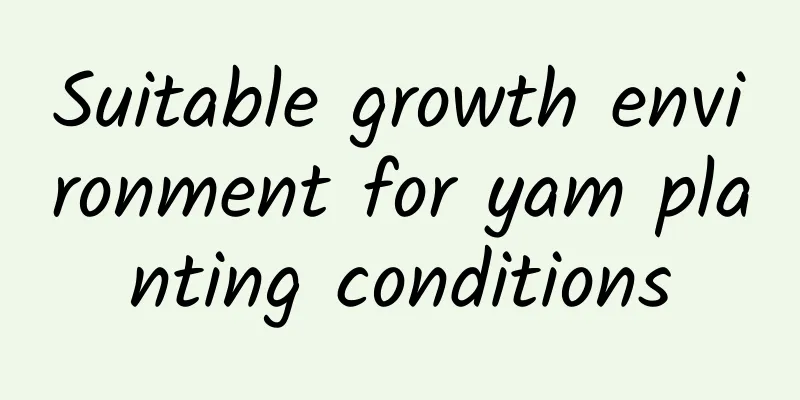 Suitable growth environment for yam planting conditions