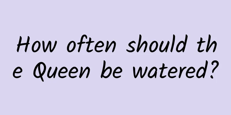 How often should the Queen be watered?