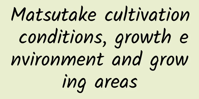 Matsutake cultivation conditions, growth environment and growing areas