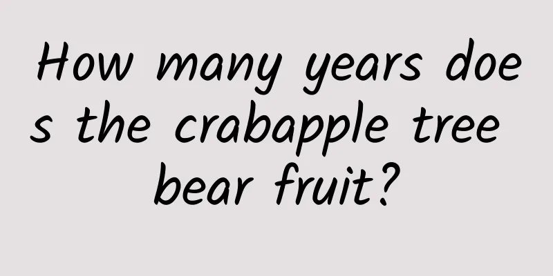 How many years does the crabapple tree bear fruit?