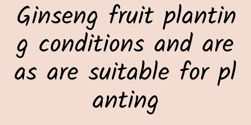 Ginseng fruit planting conditions and areas are suitable for planting
