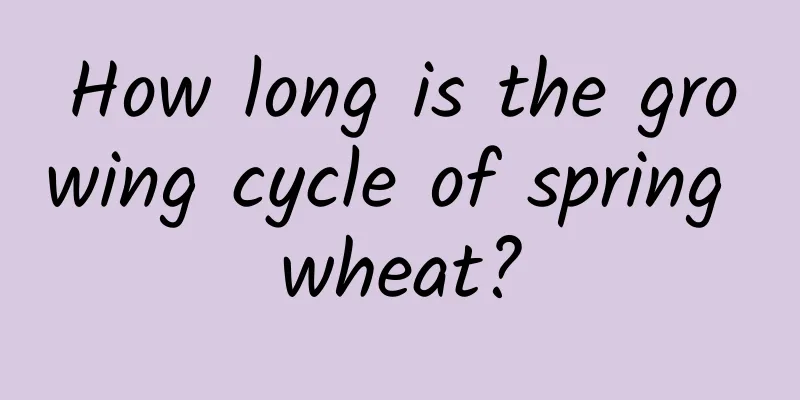 How long is the growing cycle of spring wheat?