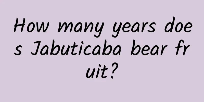 How many years does Jabuticaba bear fruit?
