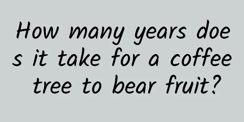 How many years does it take for a coffee tree to bear fruit?