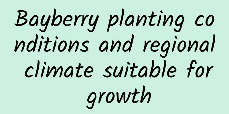 Bayberry planting conditions and regional climate suitable for growth