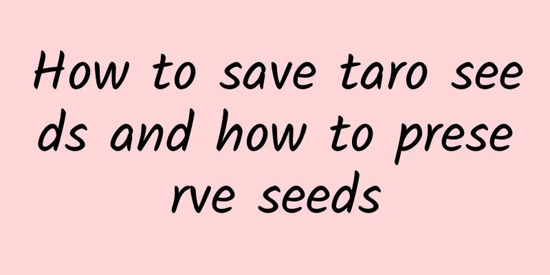 How to save taro seeds and how to preserve seeds