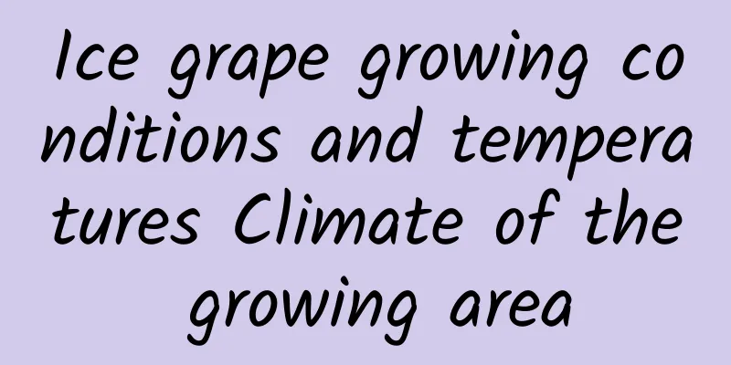 Ice grape growing conditions and temperatures Climate of the growing area