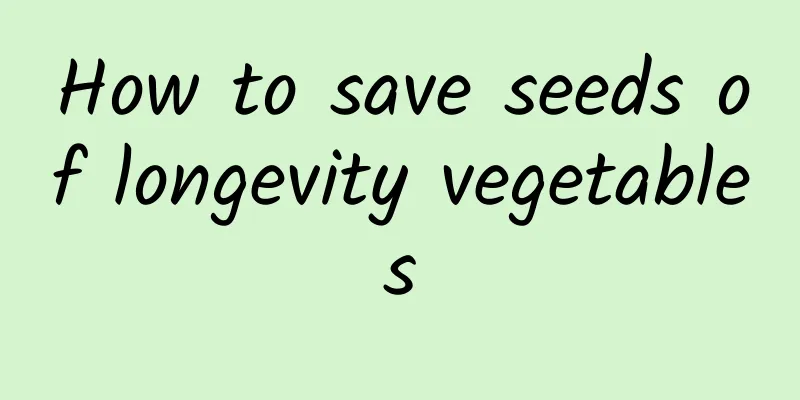 How to save seeds of longevity vegetables