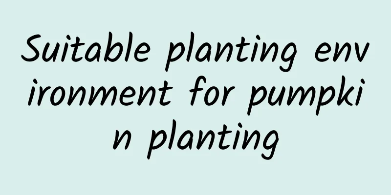 Suitable planting environment for pumpkin planting