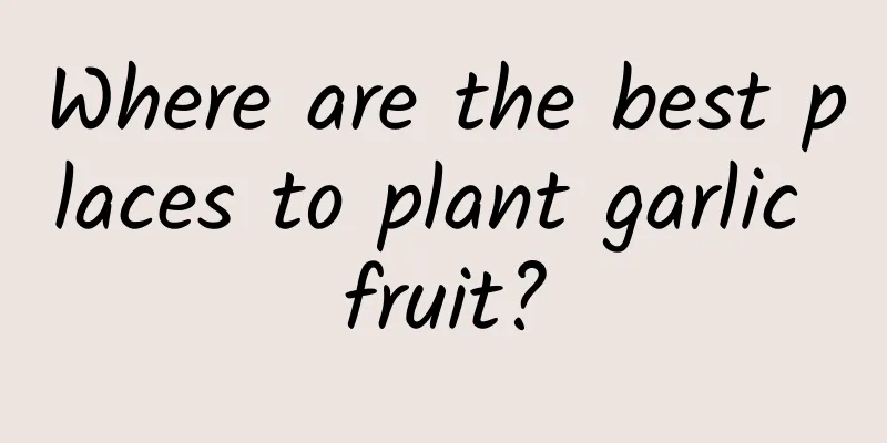 Where are the best places to plant garlic fruit?