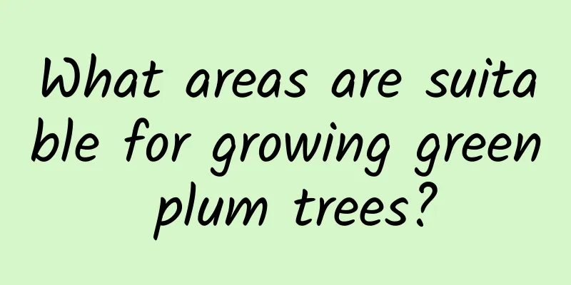 What areas are suitable for growing green plum trees?